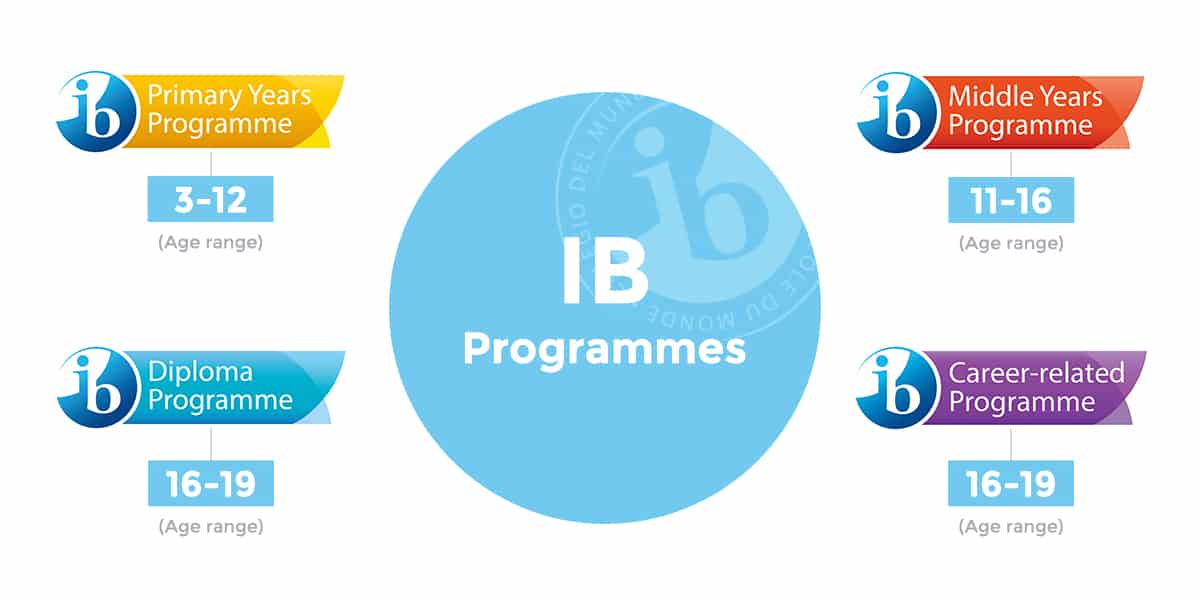 IB_4programs_infographicc1
